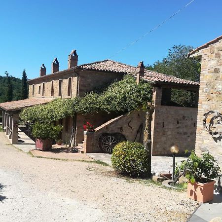 Agriturismo Selvella Allerona Extérieur photo