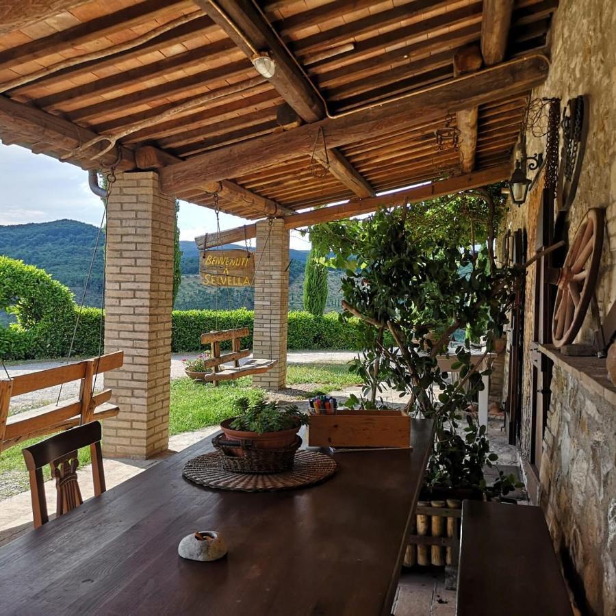 Agriturismo Selvella Allerona Extérieur photo